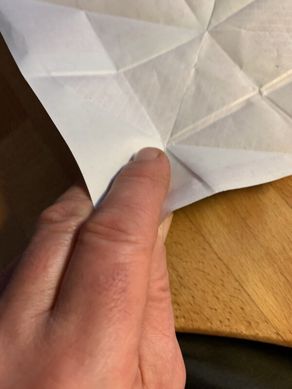 Looping_2_IMG_3533_(1)