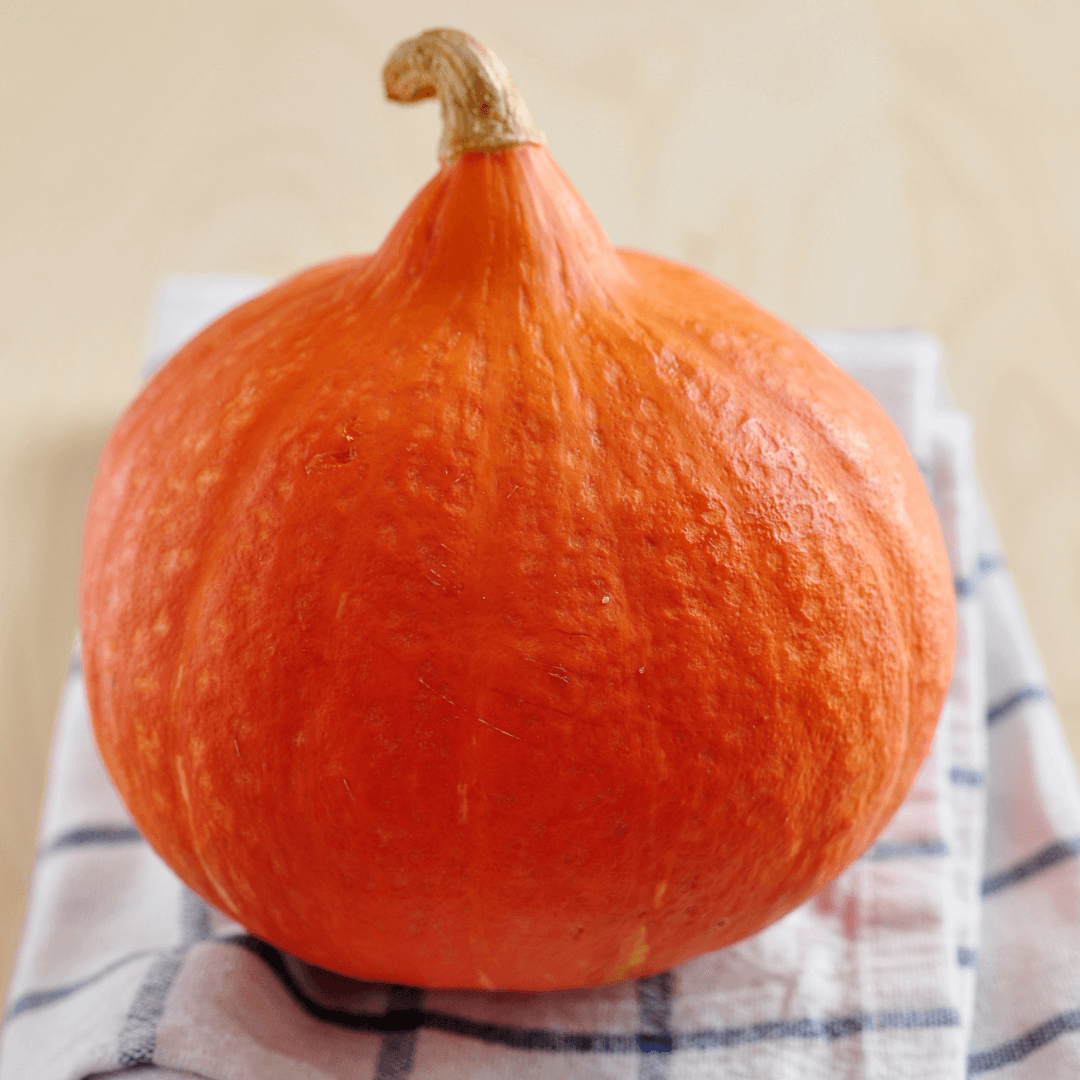 Hokkaidokürbis Hokkaidokürbis