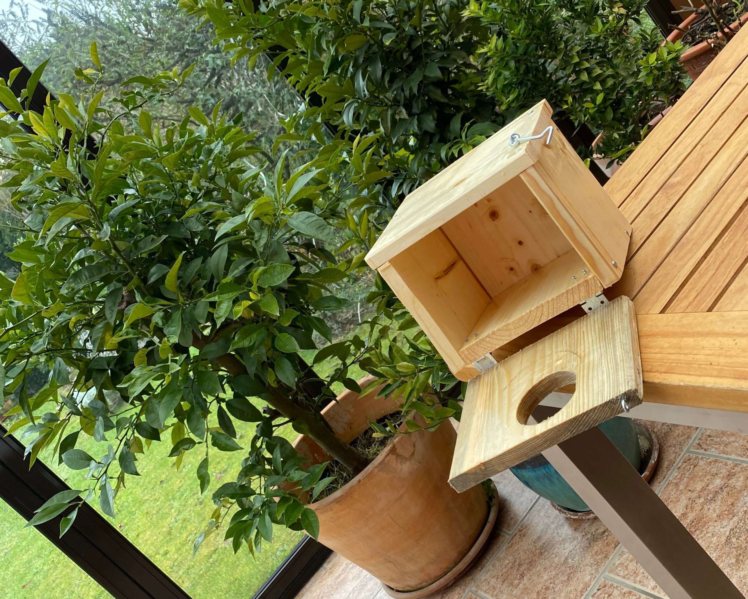 Vogelhäuschen offen Vogelhäuschen_fertig_offen_©_Klaus_Kühlewind_ (3)