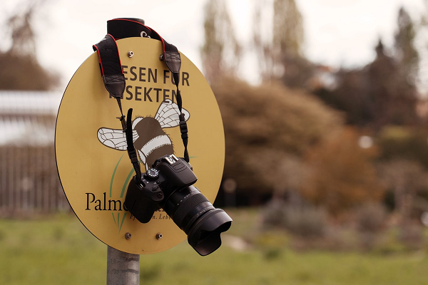 Palmengarten; Fotowettbewerb