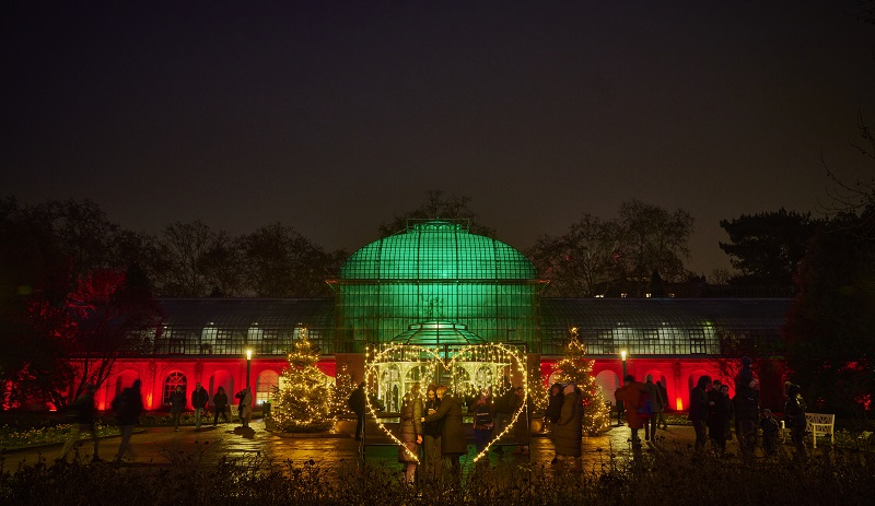 Palmengarten Winterlichter