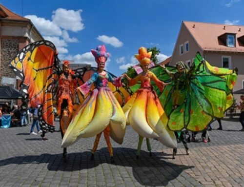 390 Jahre Lamboyfest: Musik, Genuss und Festivalstimmung in der Hanauer Altstadt