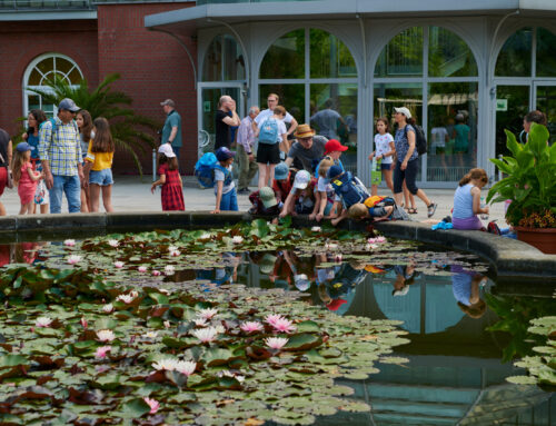 Natur-Entdecker aufgepasst: Das grüne Ferienabenteuer im Palmengarten!