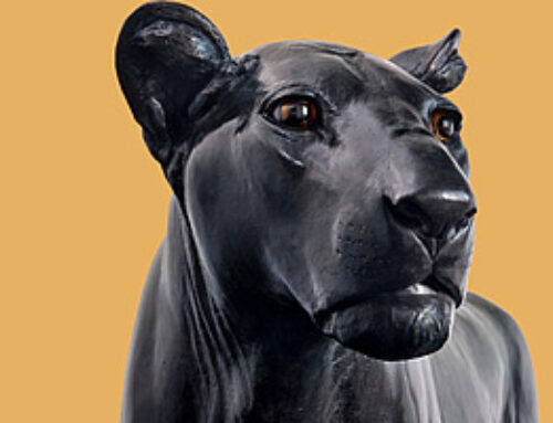 Ausstellung: Tiere sind auch nur Menschen – Liebig Haus